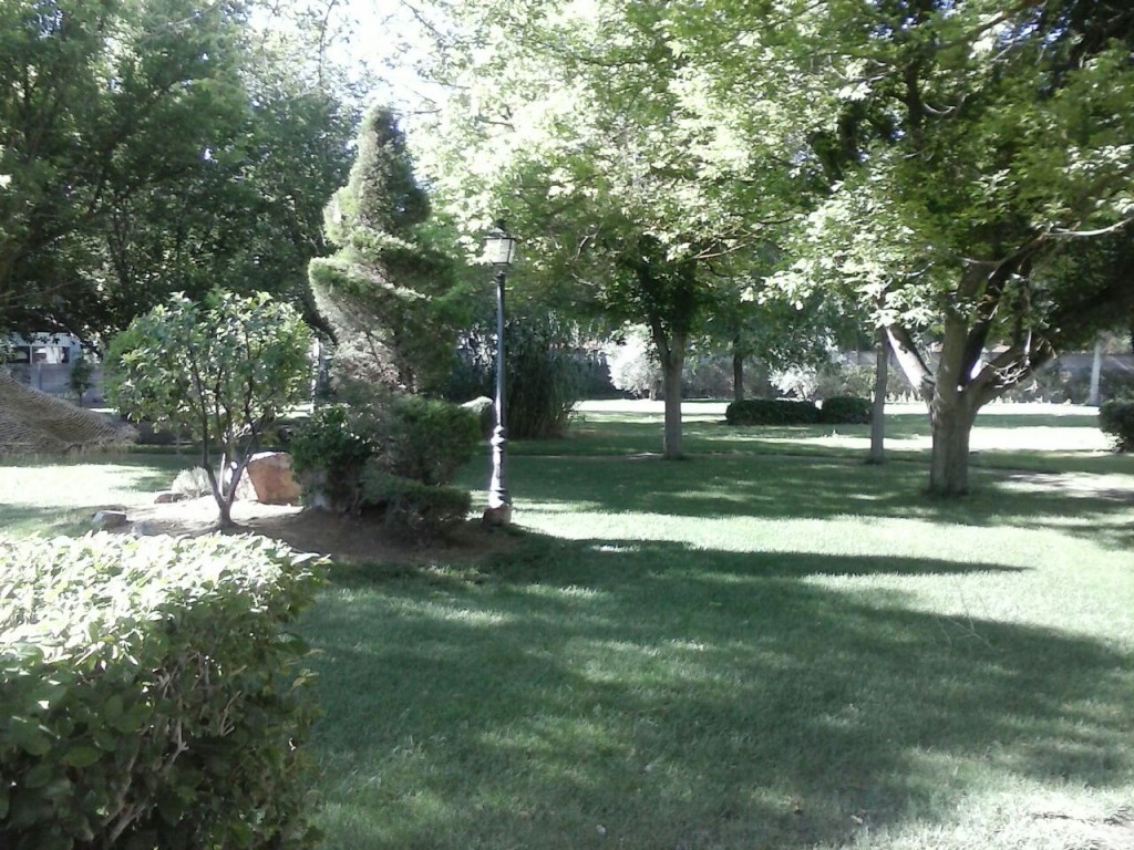 IMG-20150615-WA0012