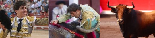 resized_noticia