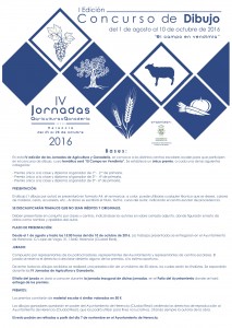 cartel concurso dibujo