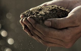 Produccion propia de frutos secos